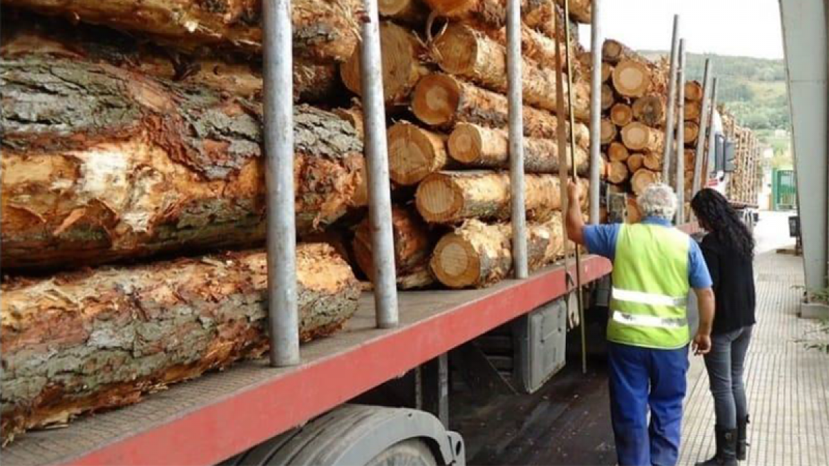 Nuevo convenio del sector de la madera en Cantabria